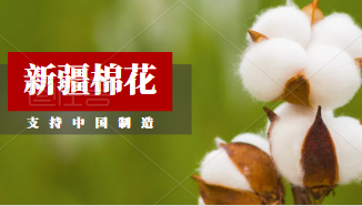 关于印发《新疆生产建设兵团2023—2025年棉花目标价格政策实施方案》的通知