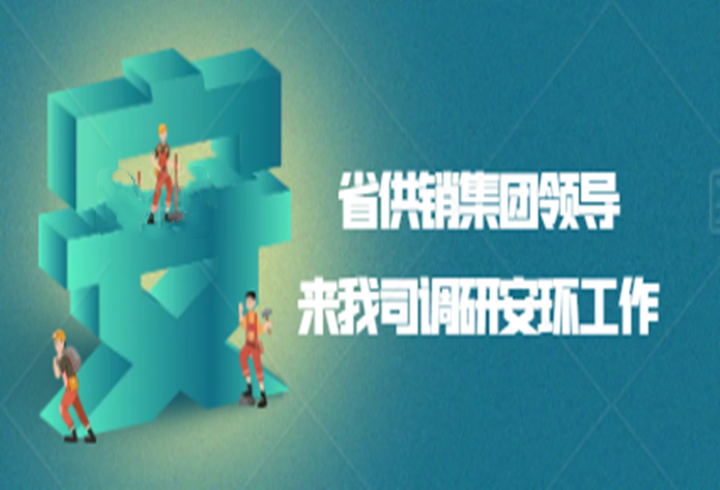 省供销集团领导来我司调研安环工作